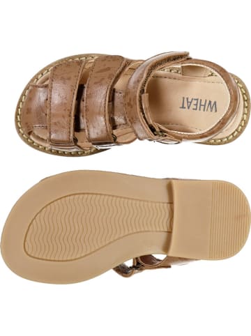 Wheat Leren enkelsandalen "Addison" lichtbruin