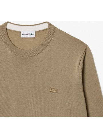 Lacoste Pullover in Hellbraun