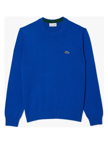 Lacoste Pullover in Blau
