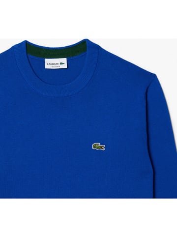Lacoste Trui blauw