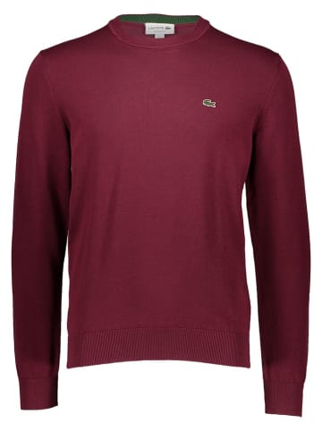 Lacoste Pullover in Bordeaux