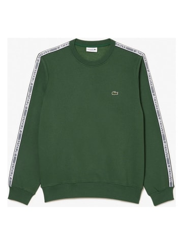 Lacoste Bluza w kolorze zielonym