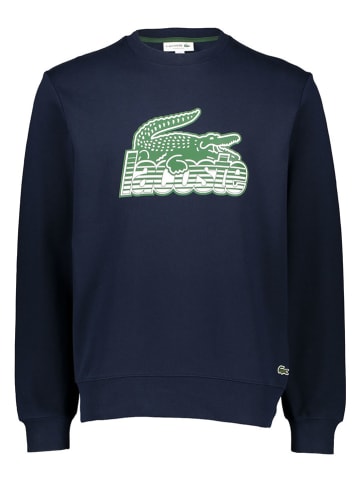 Lacoste Sweatshirt in Dunkelblau