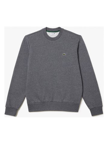 Lacoste Sweatshirt in Anthrazit