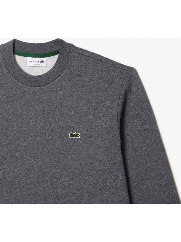 Lacoste Bluza w kolorze antracytowym