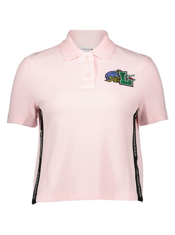 Lacoste Koszulka polo w kolorze jasnoróżowym