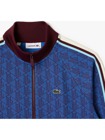 Lacoste Bluza w kolorze niebiesko-bordowym