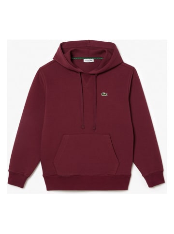 Lacoste Bluza w kolorze bordowym