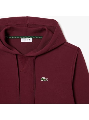 Lacoste Bluza w kolorze bordowym