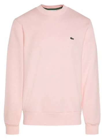 Lacoste Sweatshirt lichtroze