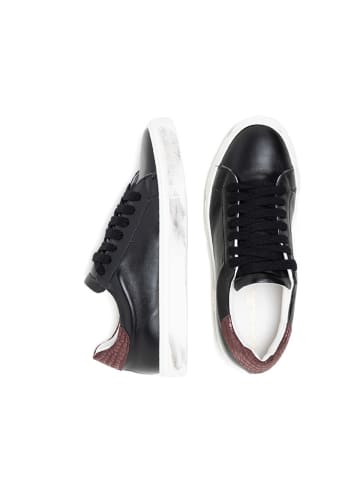 Anna Morellini Leren sneakers "Orena" zwart/paars