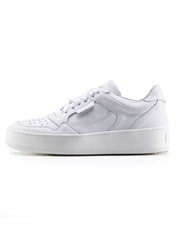 Anna Morellini Leren sneakers "Velana" wit
