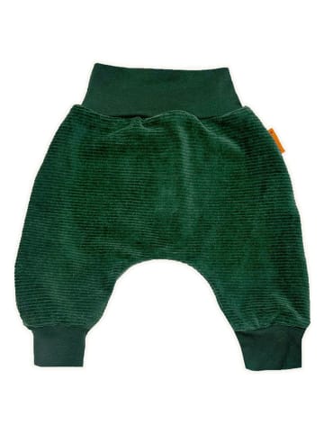LiVi Streetjogger "Nickycord Moss" donkergroen