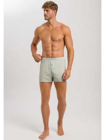 Hanro Boxershorts in Beige