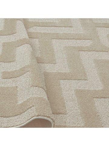 Nazar Hochflor-Teppich "Harmonie" in Creme