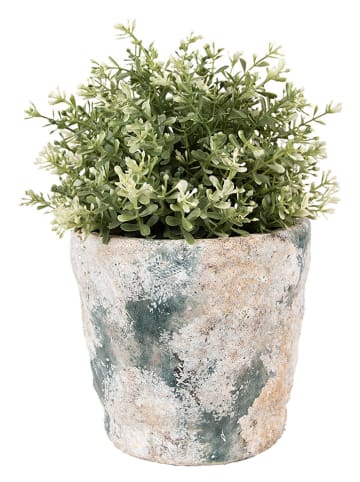 Clayre & Eef Blumentopf in Creme - (H)15 x Ø 16 cm