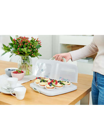 Emsa Kuchenaufbewahrungsbox "Prep & Bake" in Grau/ Grün - (B)37 x (H)33 cm