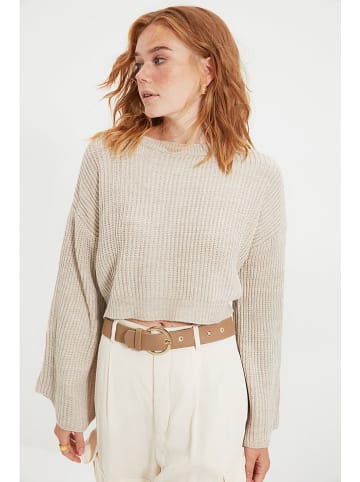 trendyol Pullover in Creme