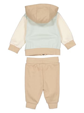 adidas Trainingsanzug in Beige