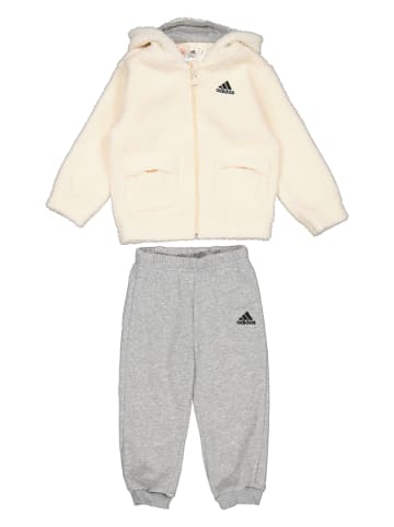adidas Trainingsanzug in Beige/ Grau