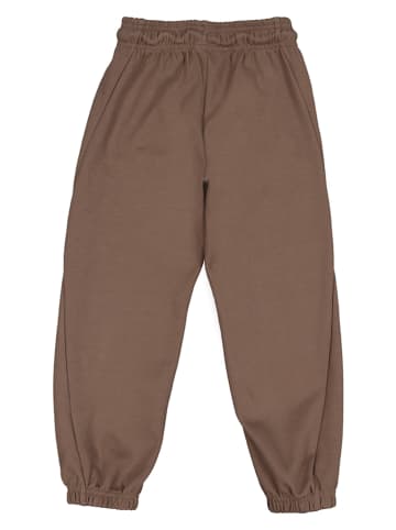 adidas Sweathose in Braun