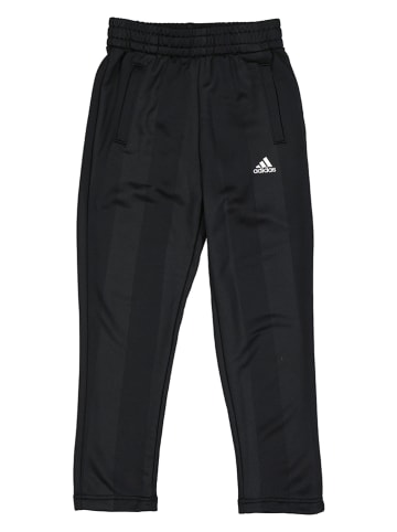 adidas Trainingshose in Schwarz