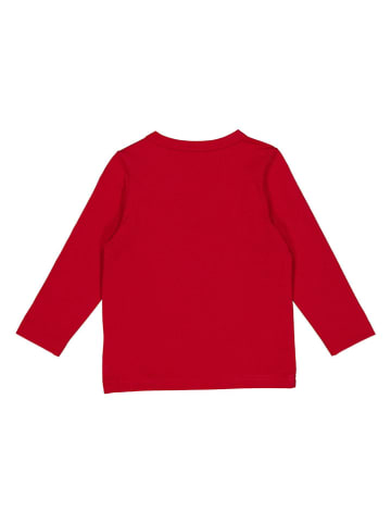 Fred´s World by GREEN COTTON Longsleeve "Hello flying dino" in Rot