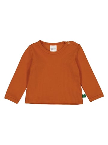 Fred´s World by GREEN COTTON Koszulka "Alfa" w kolorze pomarańczowym