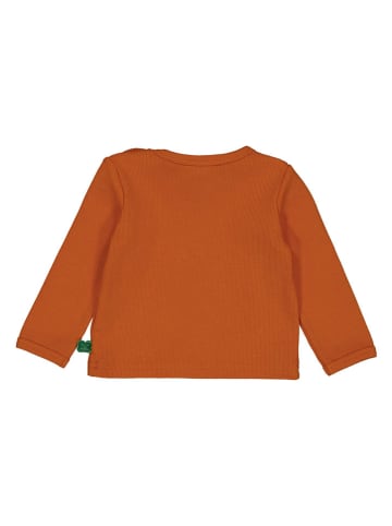 Fred´s World by GREEN COTTON Longsleeve "Alfa" in Orange