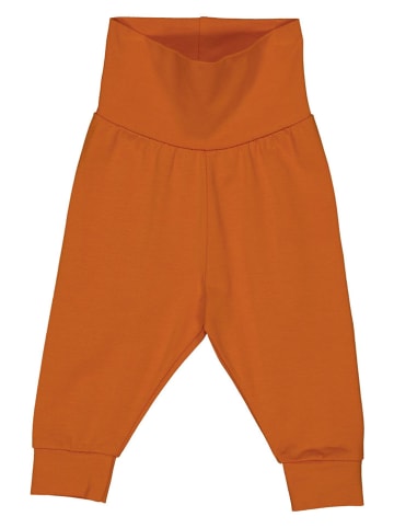 Fred´s World by GREEN COTTON Spodnie dresowe "Alfa" w kolorze pomarańczowym