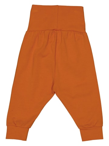 Fred´s World by GREEN COTTON Sweatbroek "Alfa" oranje