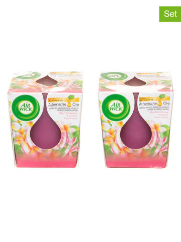 Air Wick 6er-Set: Duftkerzen "Blumenwiese", je 105 g
