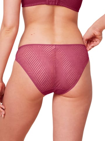 Triumph Slip beskleurig