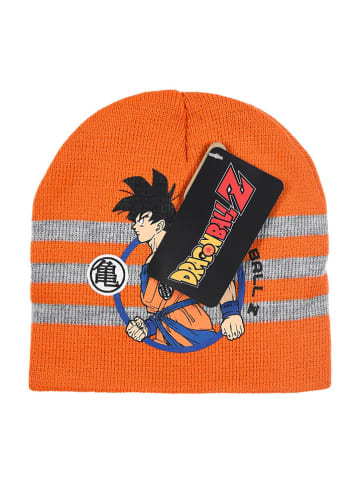 Dragon Ball Z Beanie "Dragon ball Z" in Orange/ Grau