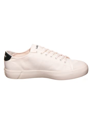 Lacoste Sneakers in Creme