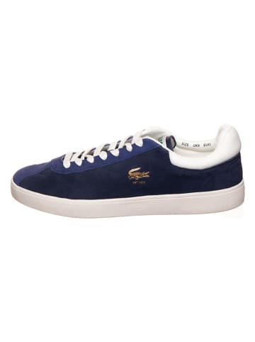Lacoste Leren sneakers donkerblauw/crème