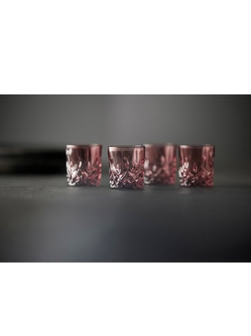 Lyngby Glas 4er-Set: Gläser ''Sorrento'' in Rosa - 40 ml