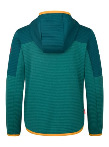 Trollkids Fleece vest "Sogndal" groen