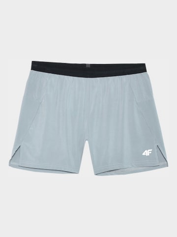 4F Trainingsshorts in Grau