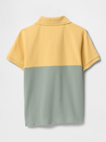 GAP Koszulka polo w kolorze zielono-żółtym