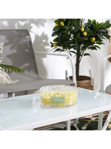 Garden Spirit Geurkaars "Citronelle'' geel - 760 g (verrassingsproduct)