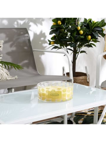 Garden Spirit Geurkaars "Citronelle'' geel - 760 g (verrassingsproduct)