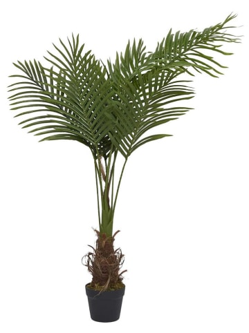 Ethnical Life Sztuczna roślina w kolorze zielonym - wys. 120 x Ø 25 cm