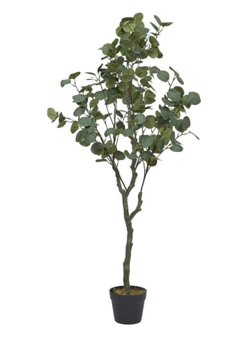Ethnical Life Kunstpflanze in Grün - (H)130 x Ø 40 cm