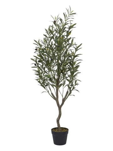 Ethnical Life Kunstplant groen - (H)120 x Ø 30 cm