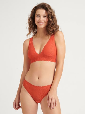 Sloggi Slip in Orange