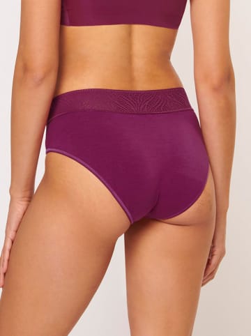 Sloggi Periodenpanty in Pflaume