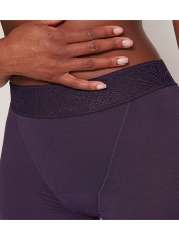 Sloggi Periodenpanty in Aubergine
