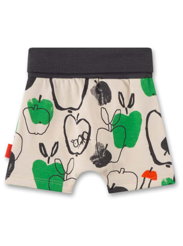 Sanetta Kidswear Shorts in Creme/ Bunt