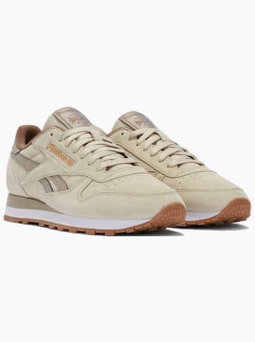 Reebok Sneakers "Classic" in Beige